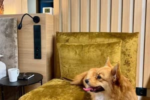 Manhattan High Line Apart 11